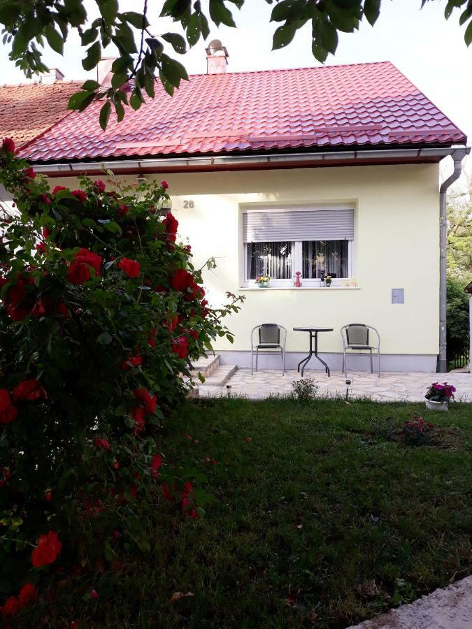 Gospic Riverside Apartment Eksteriør billede
